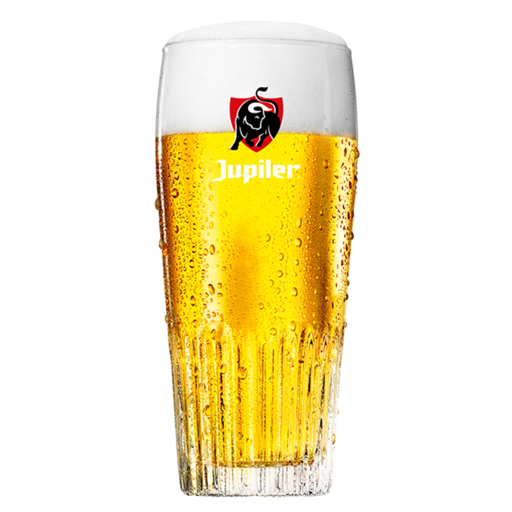 JUPILER GLAS RIBBEL 30 CL - 6 ST